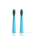 Functional rechargeable sonic electric toothbrush with USB